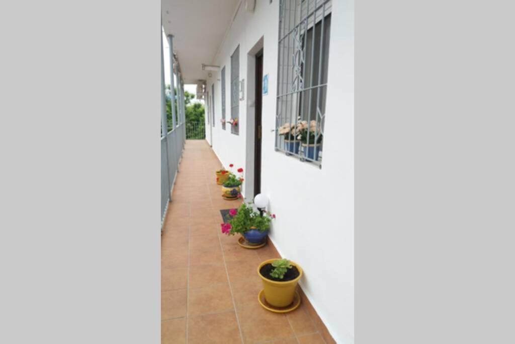 Apartamento Al-Zhara, Junto Puente Romano Daire Córdoba Dış mekan fotoğraf