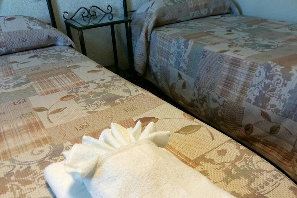 Apartamento Al-Zhara, Junto Puente Romano Daire Córdoba Dış mekan fotoğraf